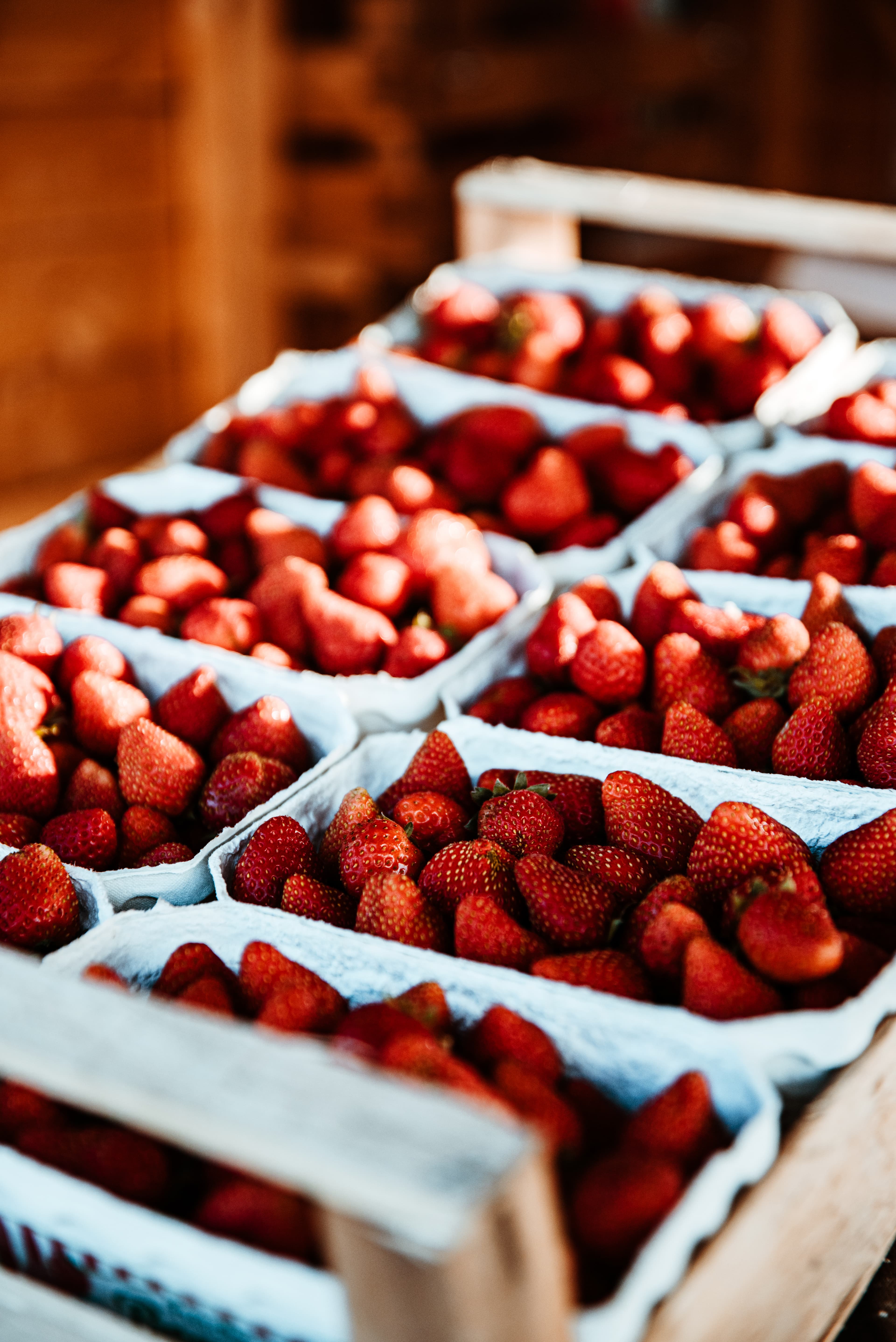 Zwei Männer im Gespräch auf dem Feld